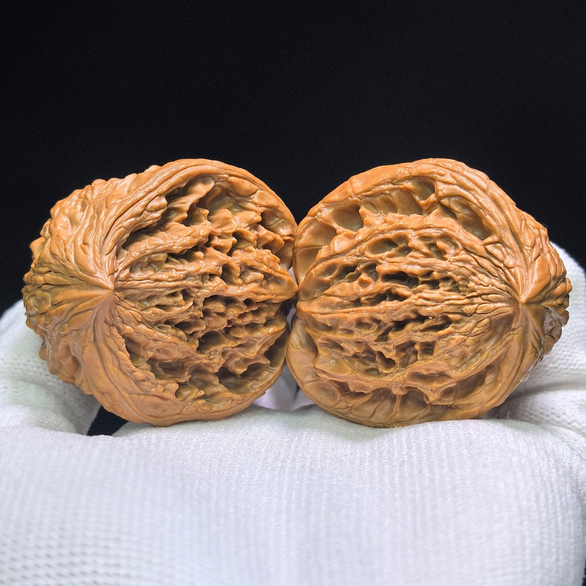 The Legendary "Snake Head" Dagushi Masterpiece | 40.0mm x 32.0mm | DGSST-1401E - ThePatinaProject