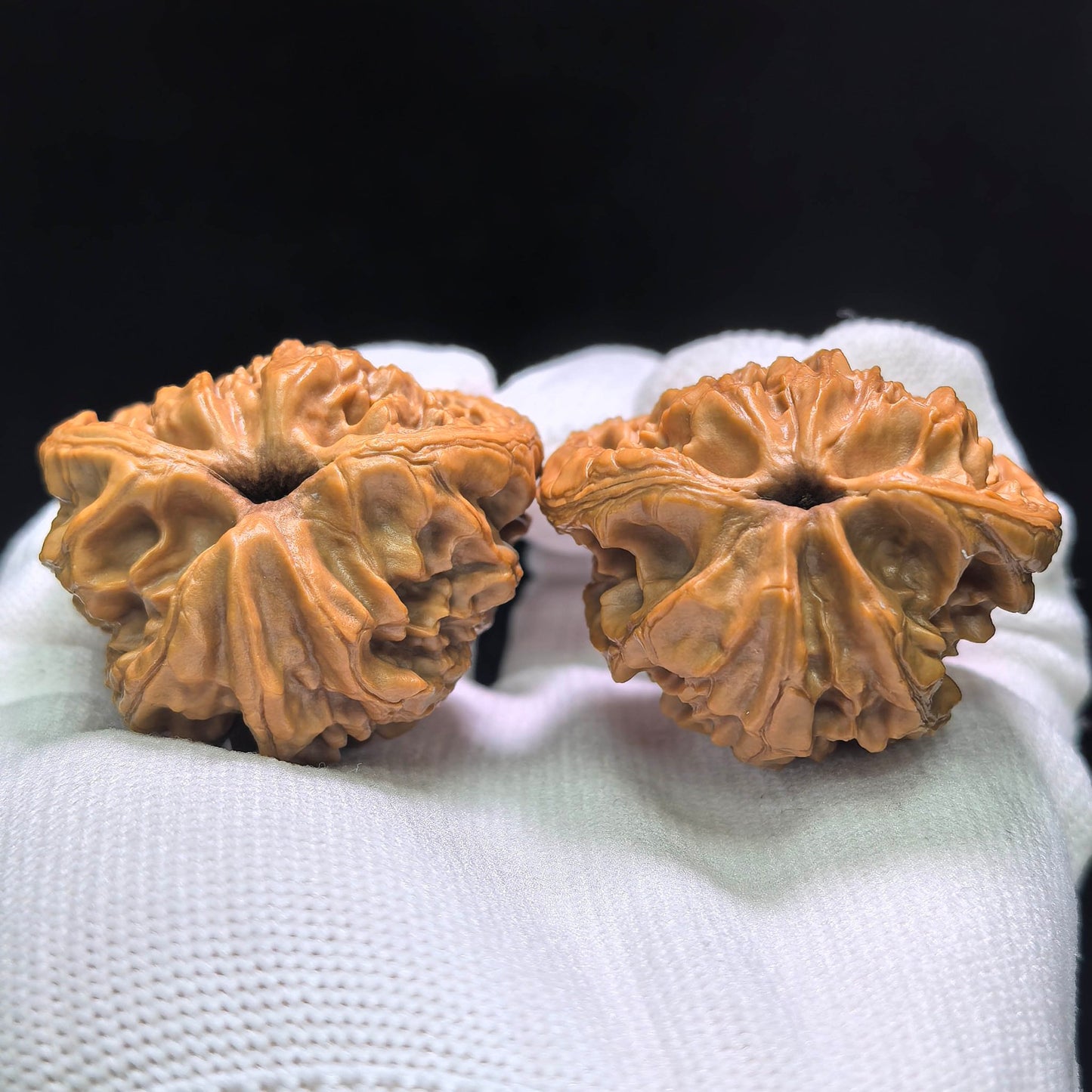 The Legendary "Snake Head" Dagushi Masterpiece | 40.0mm x 32.0mm | DGSST-1401E - ThePatinaProject
