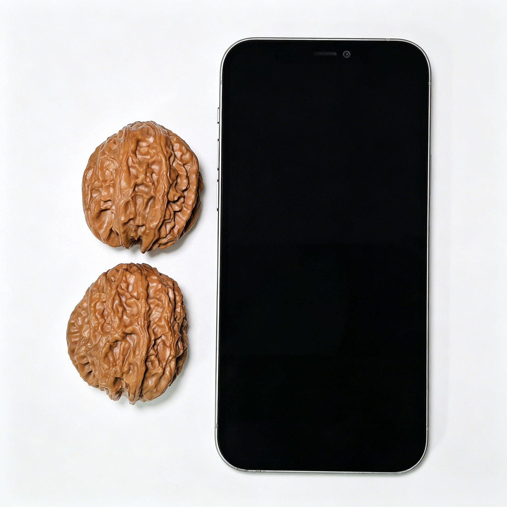 The Legendary "Snake Head" Dagushi Masterpiece | 40.0mm x 32.0mm | DGSST-1401E - ThePatinaProject