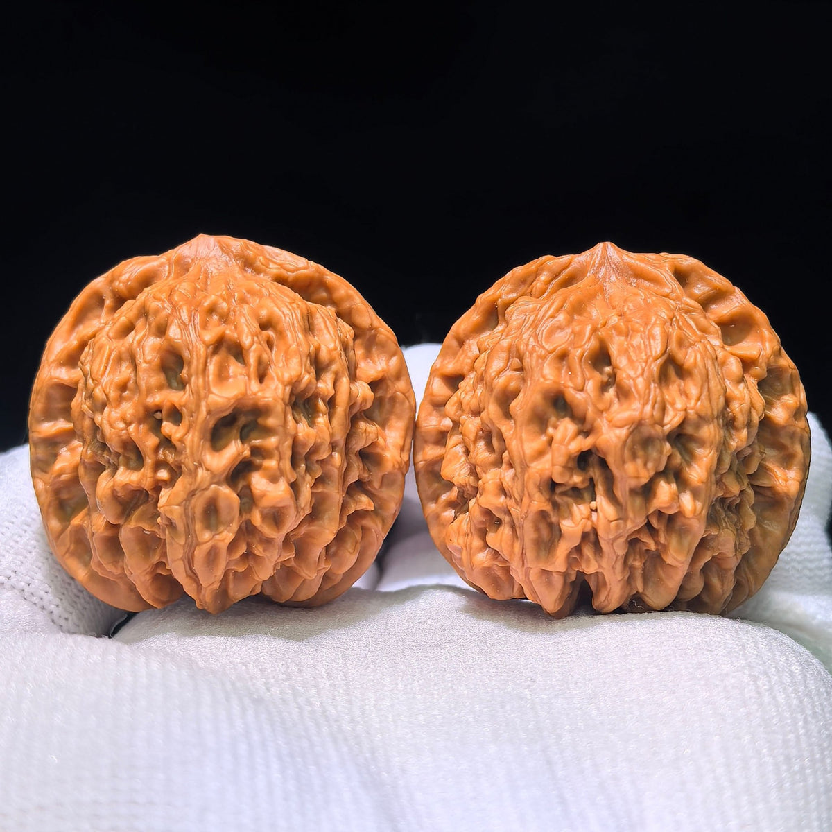 The Legendary "Taotie Motif" Taotiewen Masterpiece | 39.0mm x 37.0mm | TTW-1201C - ThePatinaProject