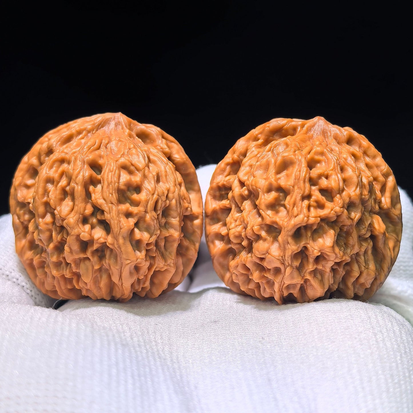 The Legendary "Taotie Motif" Taotiewen Masterpiece | 39.0mm x 37.0mm | TTW-1201C - ThePatinaProject