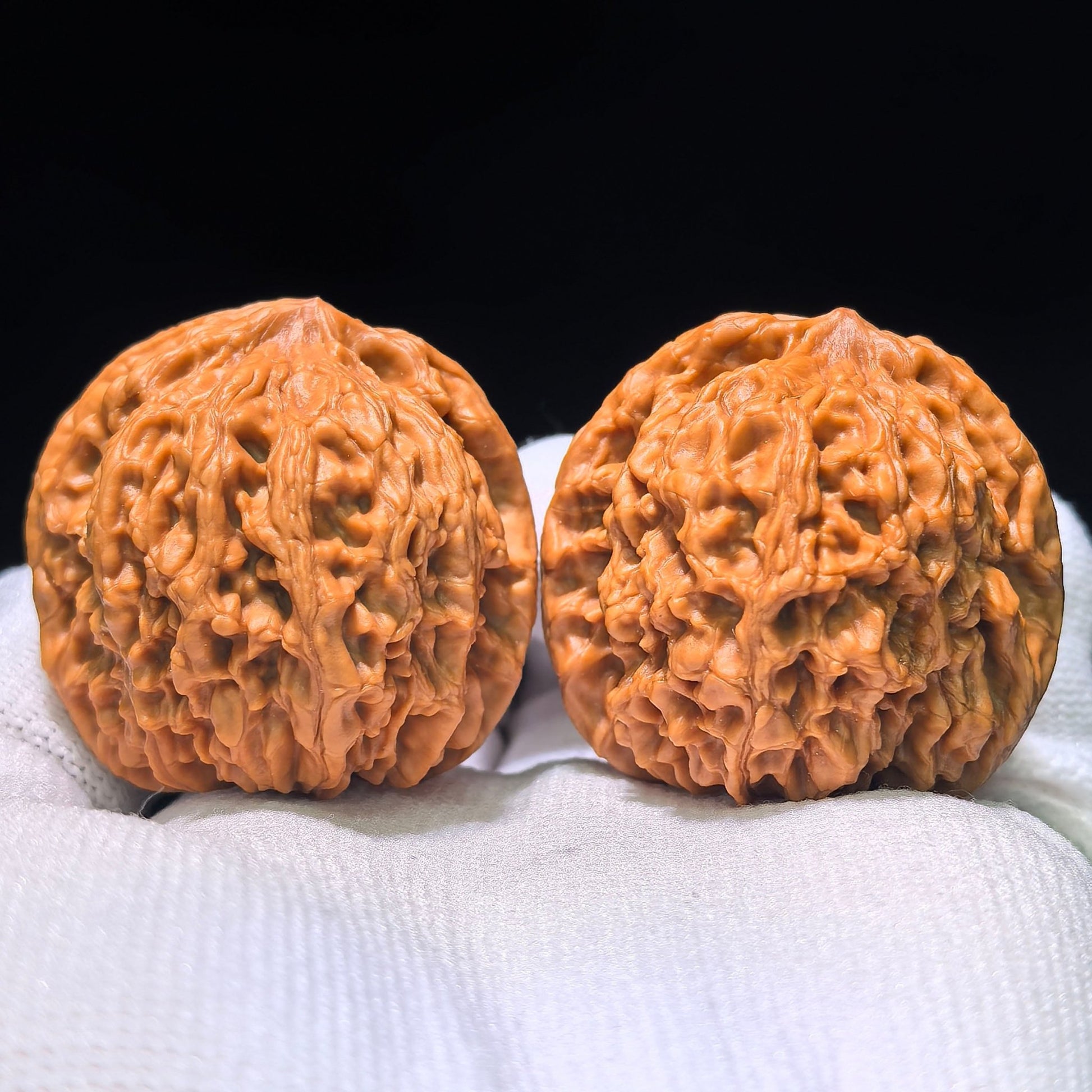The Legendary "Taotie Motif" Taotiewen Masterpiece | 39.0mm x 37.0mm | TTW-1201C - ThePatinaProject