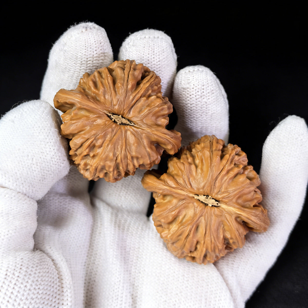 The "Lion Head" (Shi Zi Tou) Pair | Boutique Grade | 39.0mm x 38.0mm | SZT-401C - ThePatinaProject