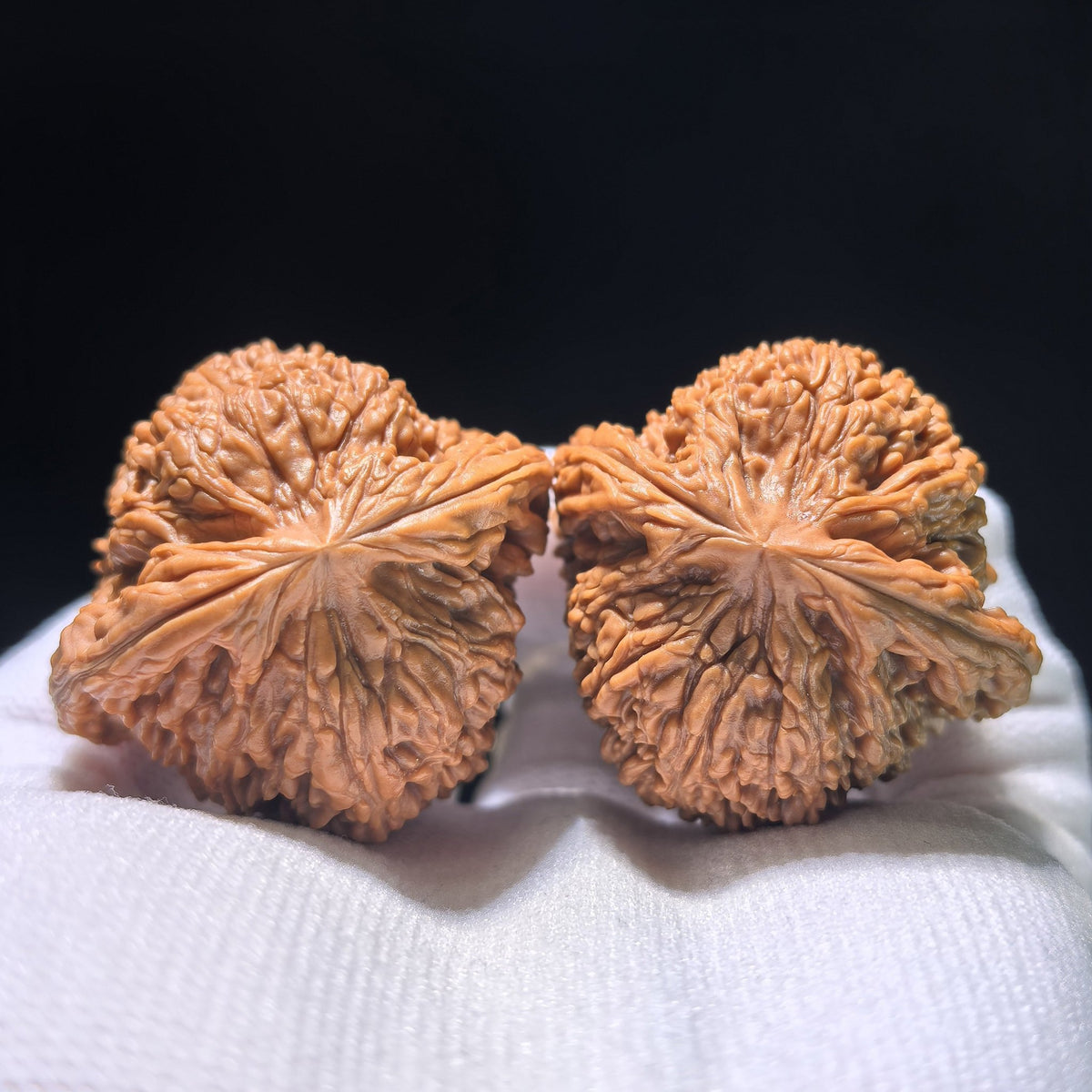 The "Little Pumpkin" (Xiao Nan Gua) Matched Pair | 40.0mm x 37.0mm | NGD-1202C - ThePatinaProject
