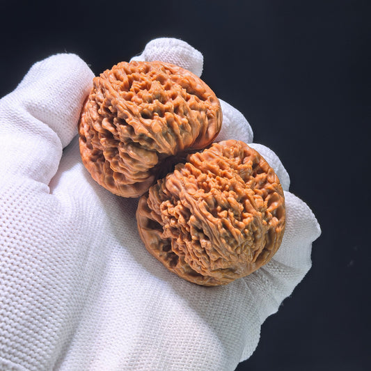 The "Little Pumpkin" (Xiao Nan Gua) Matched Pair | 40.0mm x 37.0mm | NGD-1202C - ThePatinaProject