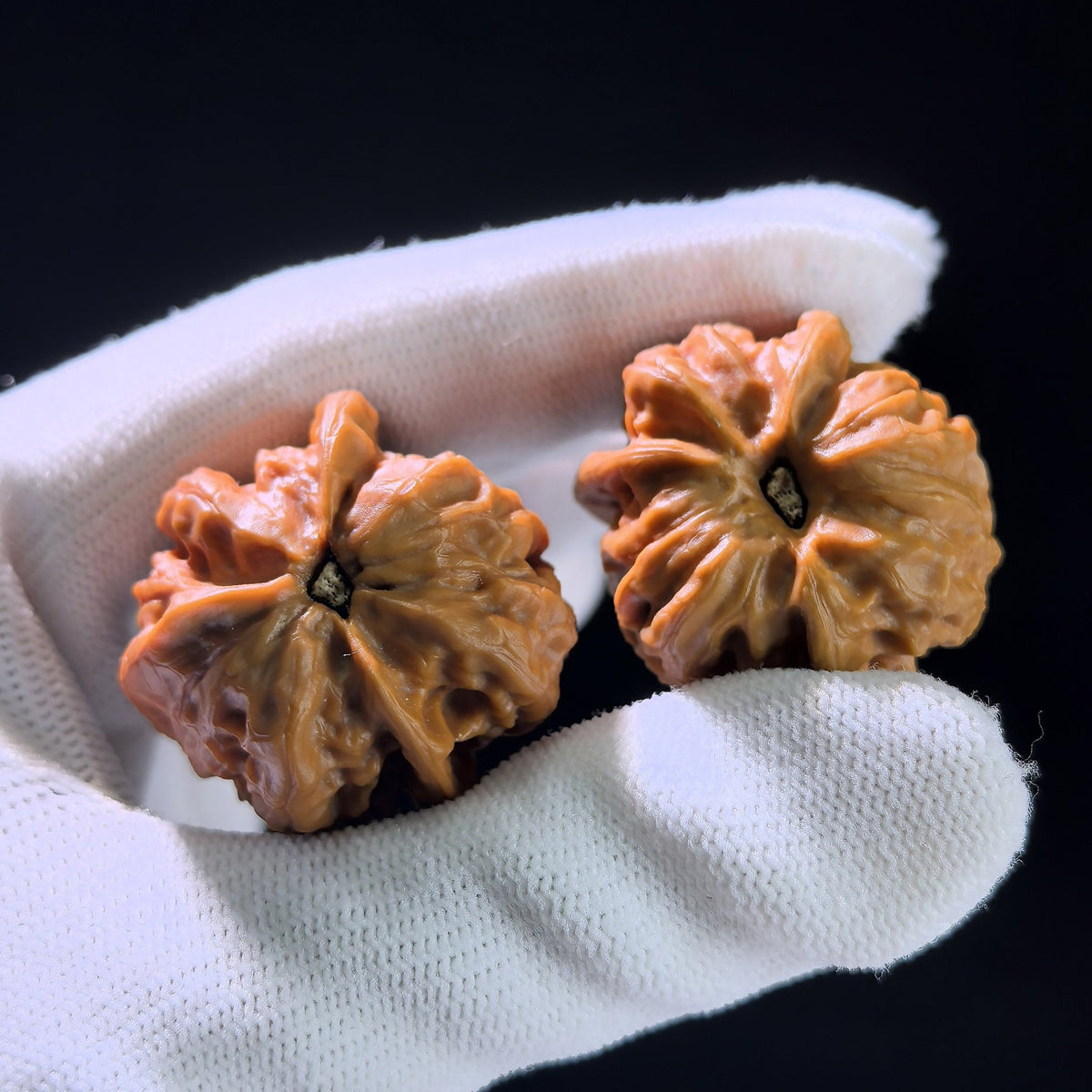 The "Long Zhan" (Dragon Gall) Trident Three-Ridge Pair | 31.0mm x 31.0mm | LZSN-1201E - ThePatinaProject
