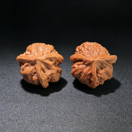 The "Long Zhan" (Dragon Gall) Trident Three-Ridge Pair | 31.0mm x 31.0mm | LZSN-1201E - ThePatinaProject