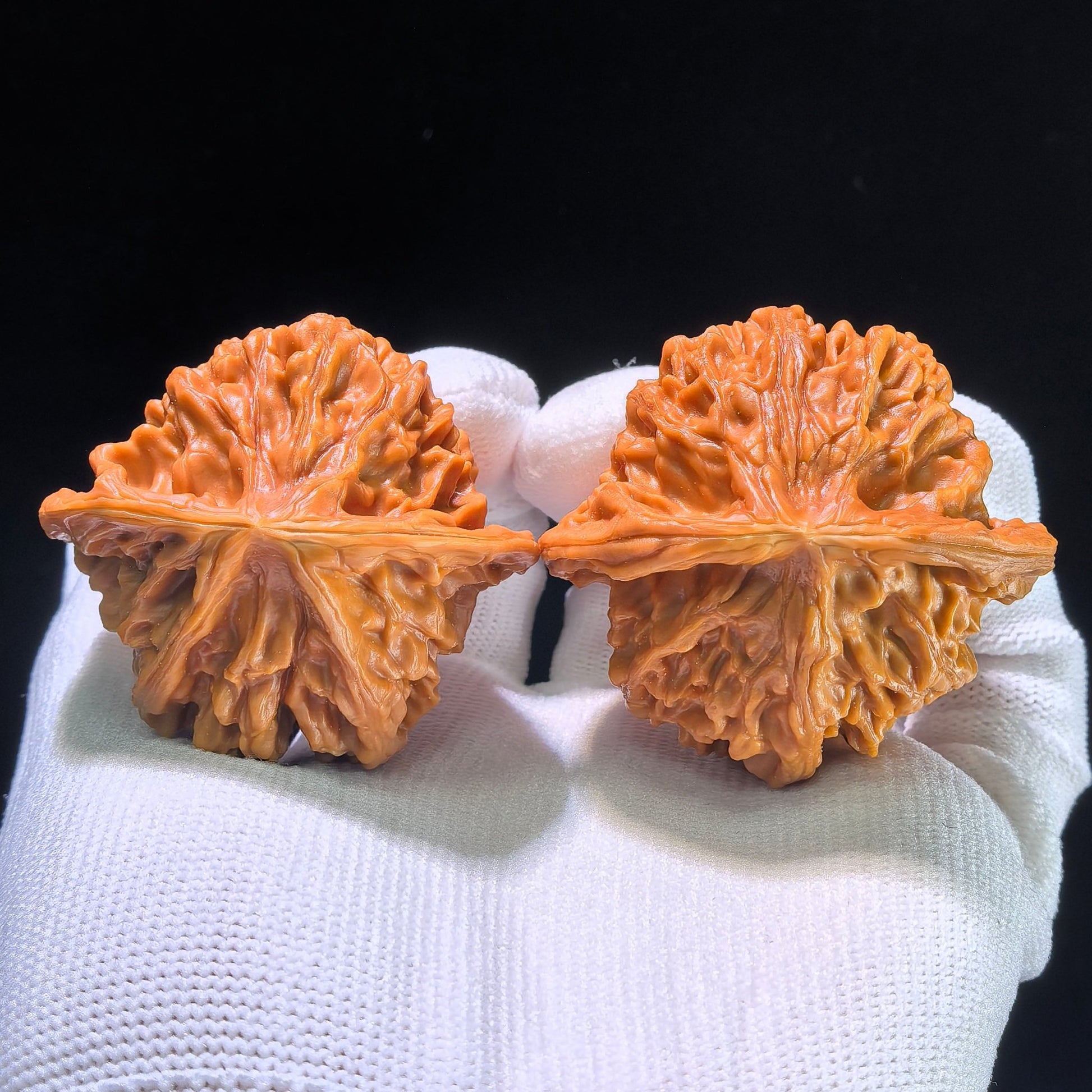 The "Lord Er-Ye's Hat" (Tian Di Er Ye Mao) Grand Boutique Pair | 46.0mm x 44.0mm | TDEYM-1202C - ThePatinaProject