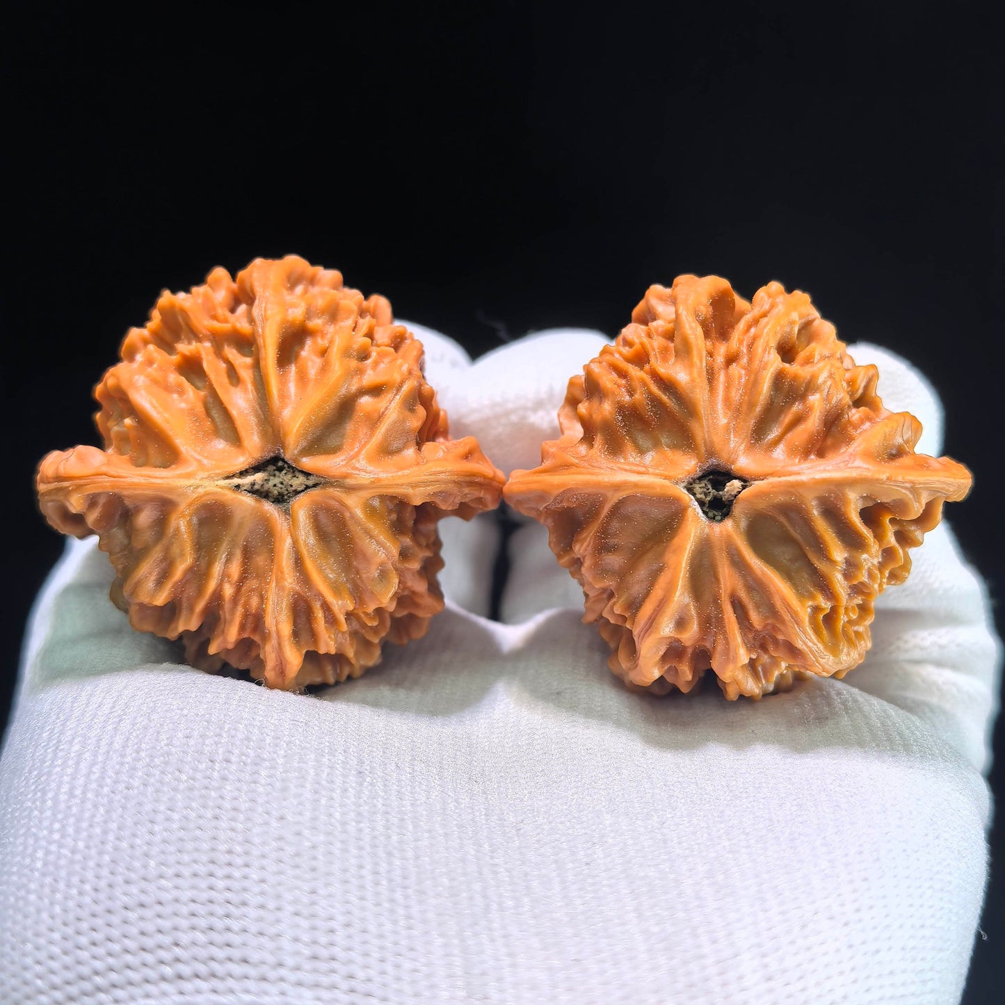 The "Lord Er-Ye's Hat" (Tian Di Er Ye Mao) Grand Boutique Pair | 46.0mm x 44.0mm | TDEYM-1202C - ThePatinaProject