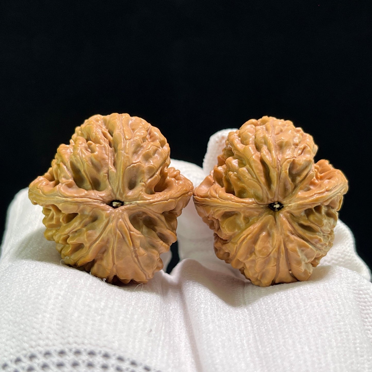 The "Lotus" (Lian Hua) Pair | 35.0mm x 38.0mm | LH-702 - ThePatinaProject