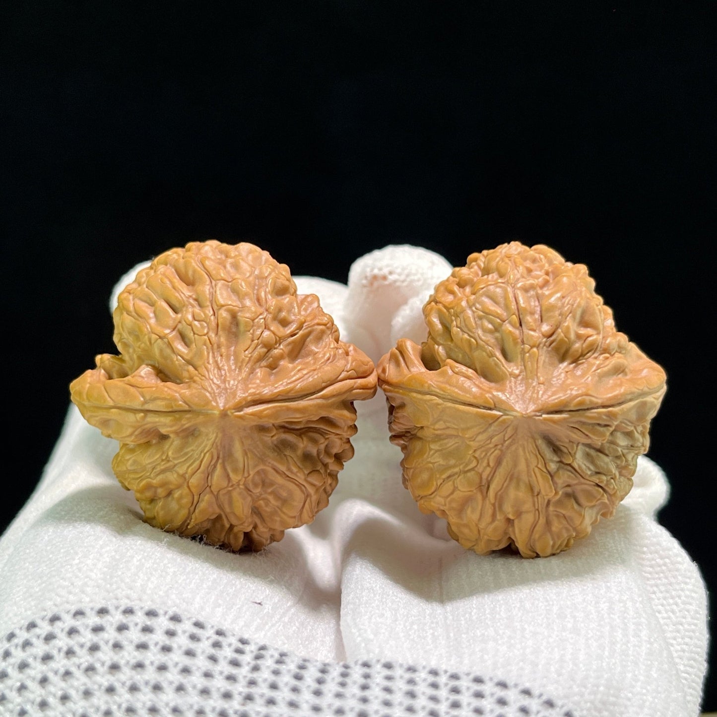 The "Lotus" (Lian Hua) Pair | 35.0mm x 38.0mm | LH-702 - ThePatinaProject