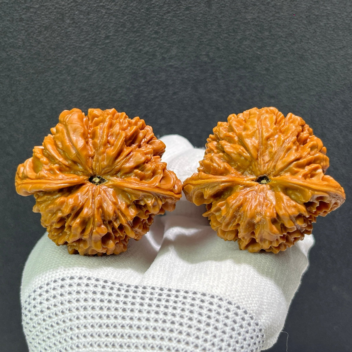 The Majestic "Official’s Hat" (Da Guan Mao) Premier Pair | Boutique Grade | 49.0mm x 44.0mm | DGM-601 - ThePatinaProject