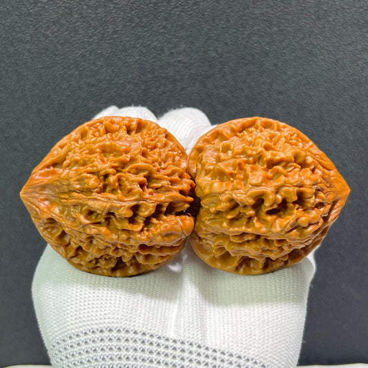 The Majestic "Official’s Hat" (Da Guan Mao) Premier Pair | Boutique Grade | 49.0mm x 44.0mm | DGM-601 - ThePatinaProject