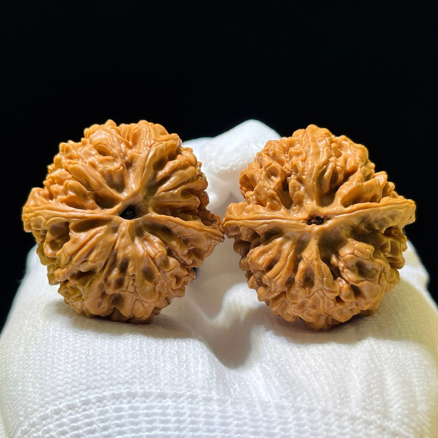 The Majestic "Sitting Buddha" ZuoFo Masterpiece | 36.0mm x 36.0mm | ZF-1201C - ThePatinaProject