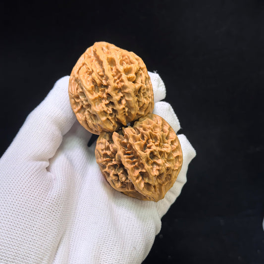 The Majestic "Three-Ribbed Emperor" Diwang Sanleng Lion Head Masterpiece | 43.0mm x 46.0mm | DWSN-401E - ThePatinaProject