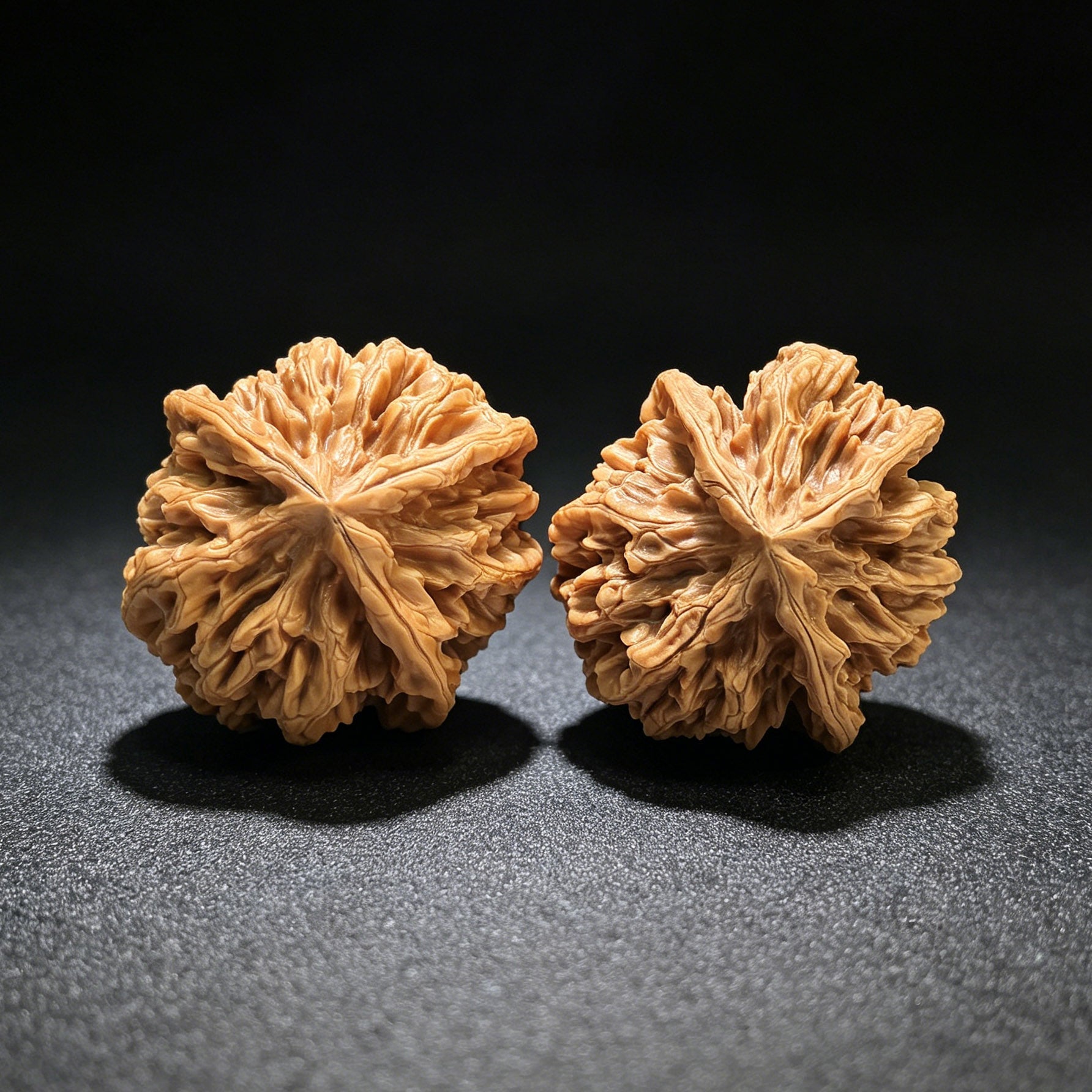The Majestic "Three-Ribbed Emperor" Diwang Sanleng Lion Head Masterpiece | 43.0mm x 46.0mm | DWSN-401E - ThePatinaProject
