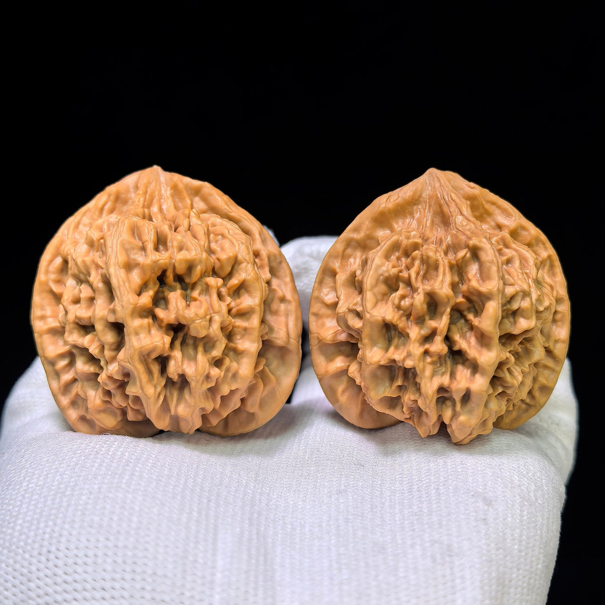 The Majestic "Three-Ribbed Emperor" Diwang Sanleng Lion Head Masterpiece | 43.0mm x 46.0mm | DWSN-401E - ThePatinaProject