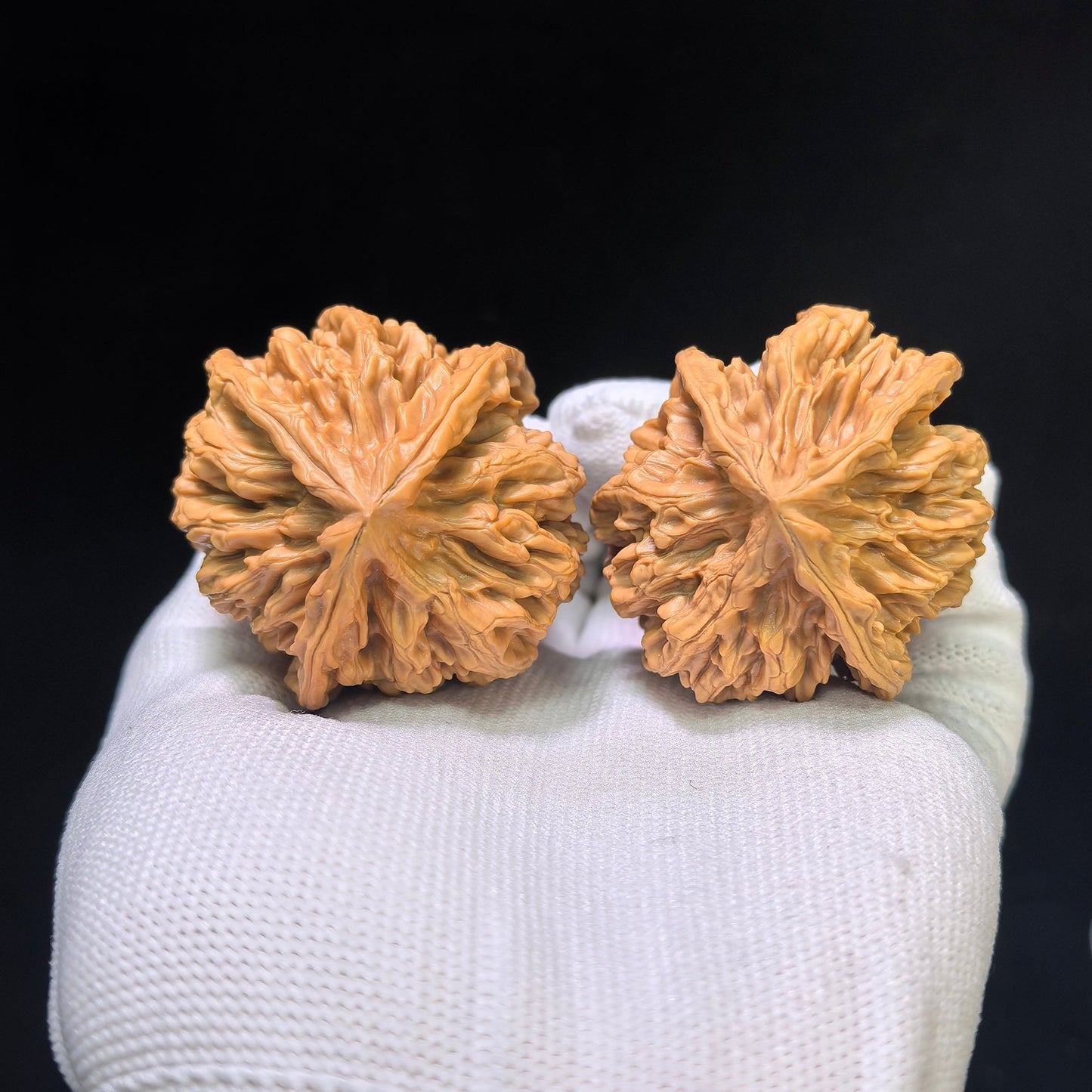 The Majestic "Three-Ribbed Emperor" Diwang Sanleng Lion Head Masterpiece | 43.0mm x 46.0mm | DWSN-401E - ThePatinaProject