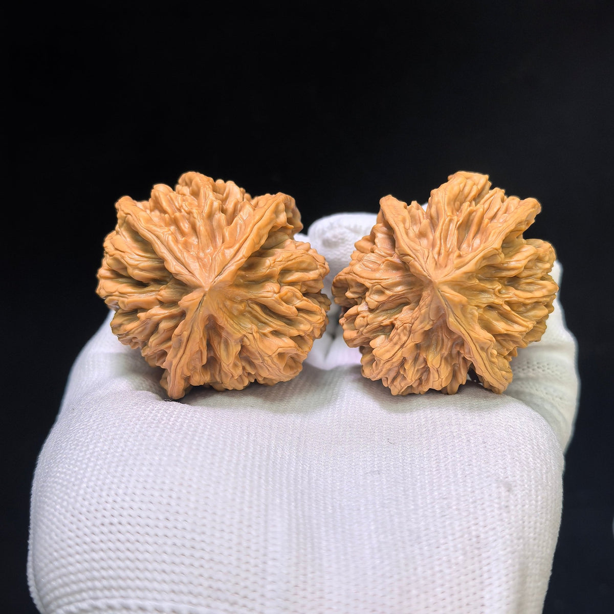 The Majestic "Three-Ribbed Emperor" Diwang Sanleng Lion Head Masterpiece | 43.0mm x 46.0mm | DWSN-401E - ThePatinaProject