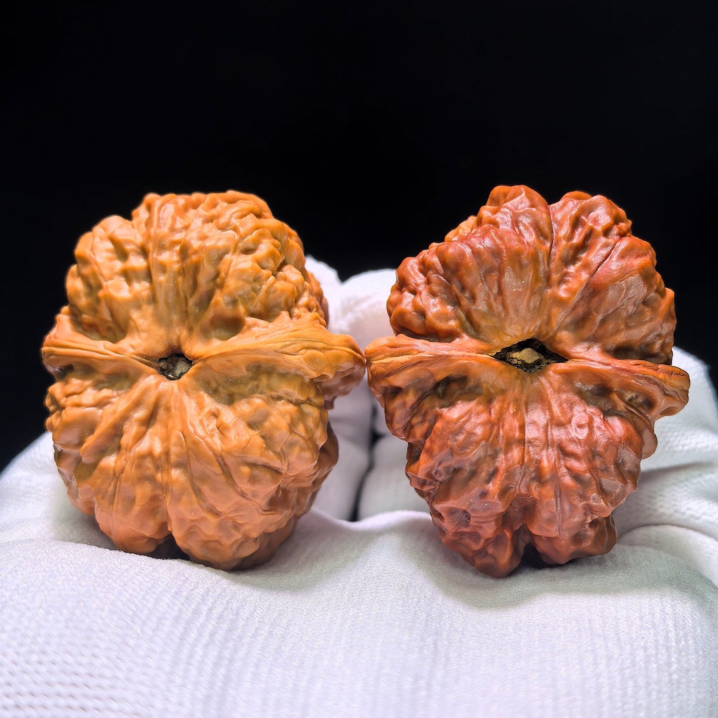 The "Mandarin Duck" (Yuan Yang) Ground-Buried & Normal Ha Ma Tou (Toad Head) Colossal Giant Pair | 38.0mm x 47.0mm | HMT-1202C - ThePatinaProject