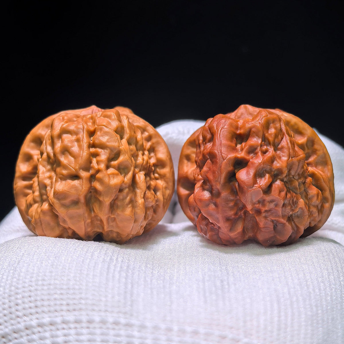 The "Mandarin Duck" (Yuan Yang) Ground-Buried & Normal Ha Ma Tou (Toad Head) Colossal Giant Pair | 38.0mm x 47.0mm | HMT-1202C - ThePatinaProject