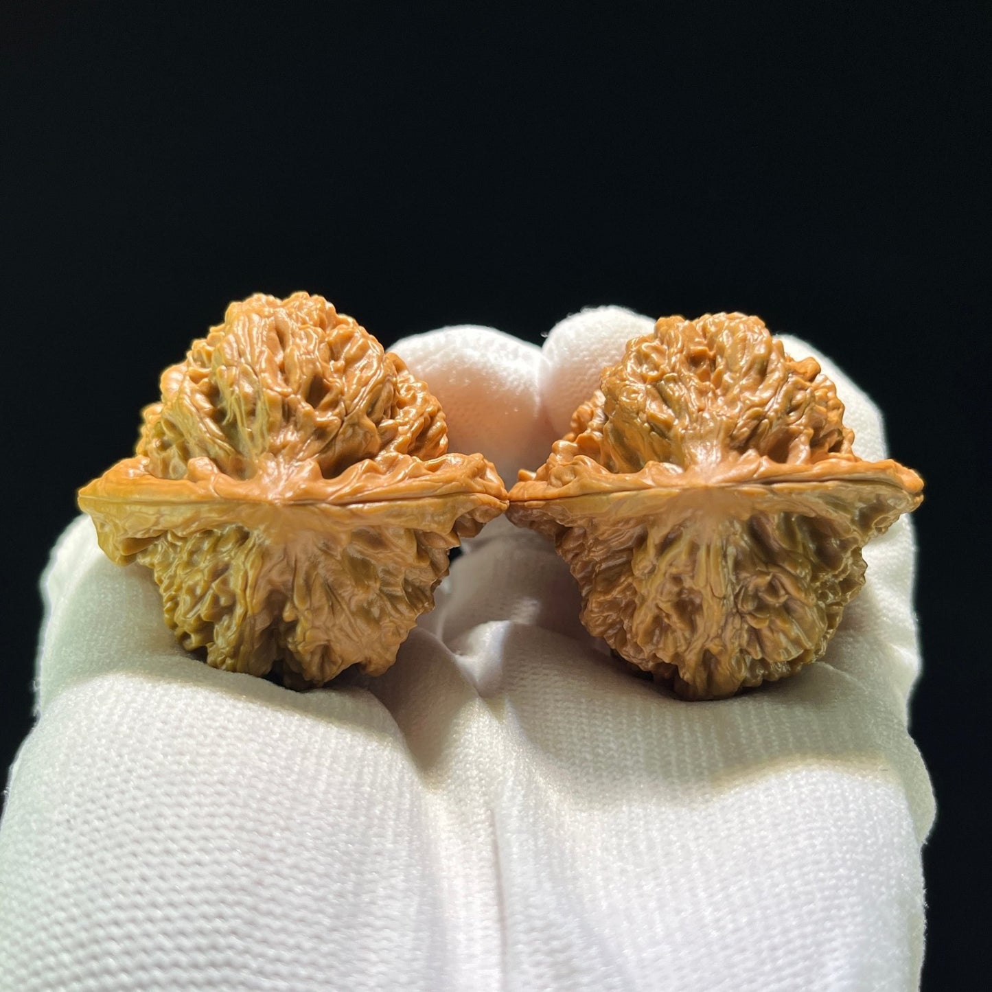The Massive "Gecko x Arhat Head" Tian Can Jiao Hybrid Pair | 44.0mm x 41.0mm | BHLHT-707 - ThePatinaProject