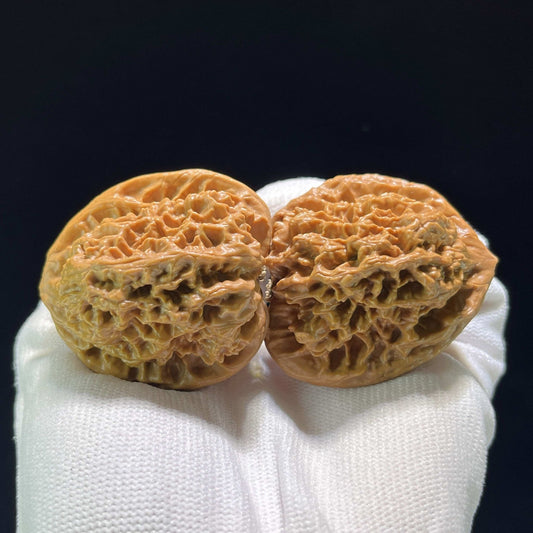 The Massive "Gecko x Arhat Head" Tian Can Jiao Hybrid Pair | 44.0mm x 41.0mm | BHLHT-707 - ThePatinaProject