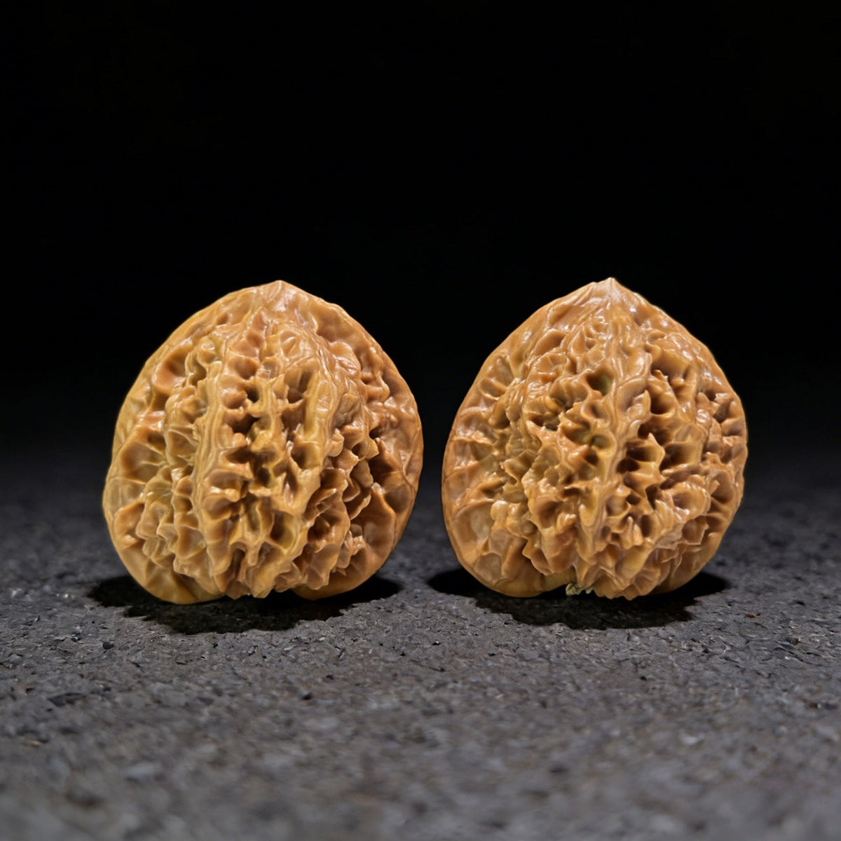 The Massive "Gecko x Arhat Head" Tian Can Jiao Hybrid Pair | 44.0mm x 41.0mm | BHLHT-707 - ThePatinaProject