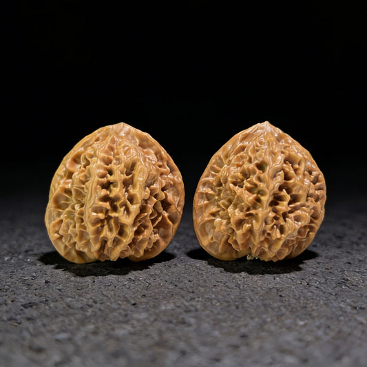 The Massive "Gecko x Arhat Head" Tian Can Jiao Hybrid Pair | 44.0mm x 41.0mm | BHLHT-707 - ThePatinaProject