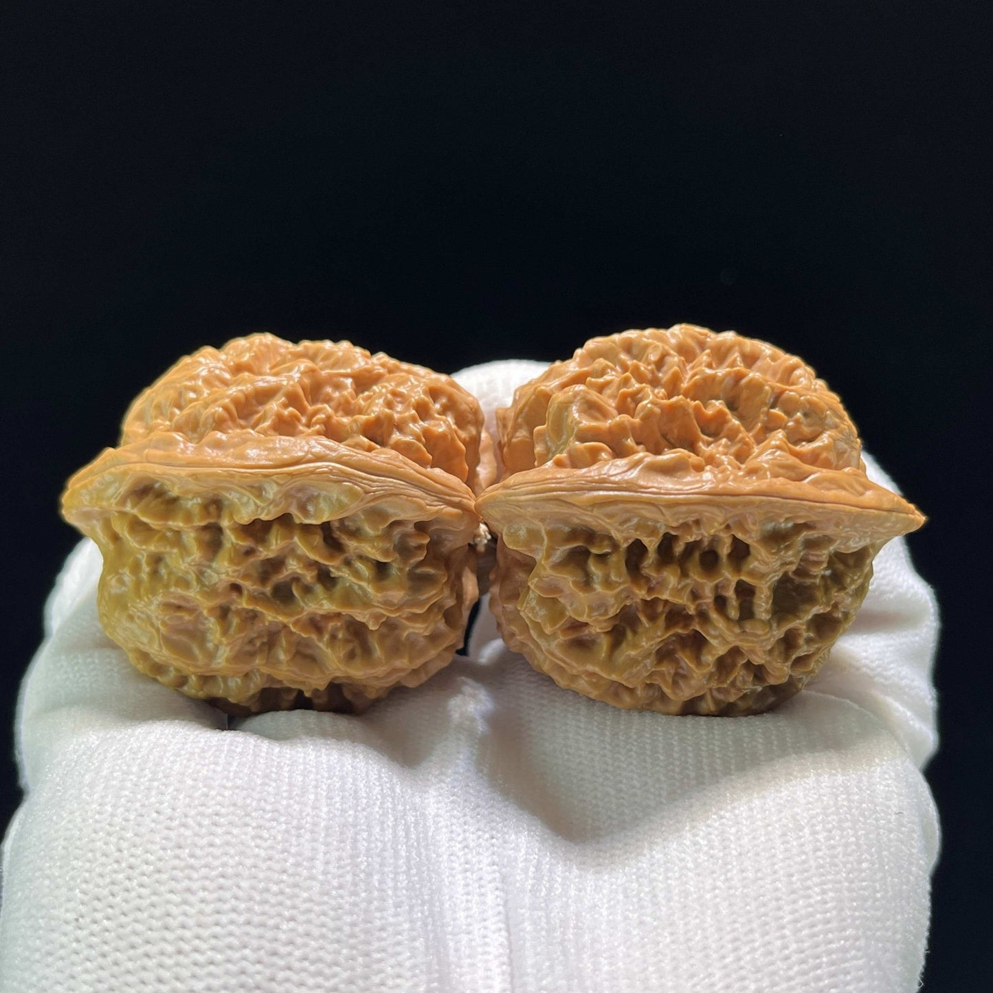 The Massive "Gecko x Arhat Head" Tian Can Jiao Hybrid Pair | 44.0mm x 41.0mm | BHLHT-707 - ThePatinaProject