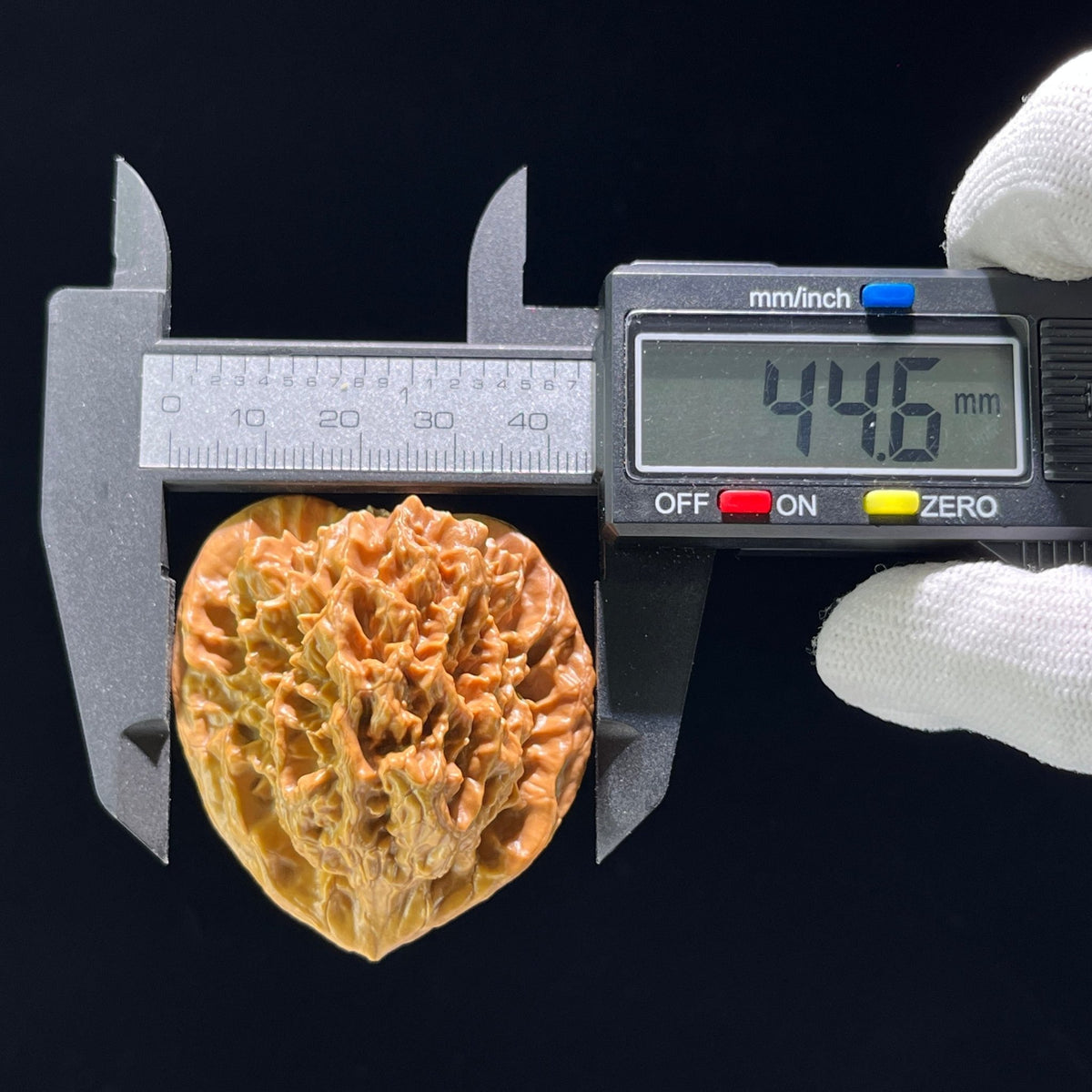 The Massive "Gecko x Arhat Head" Tian Can Jiao Hybrid Pair | 44.0mm x 41.0mm | BHLHT-707 - ThePatinaProject
