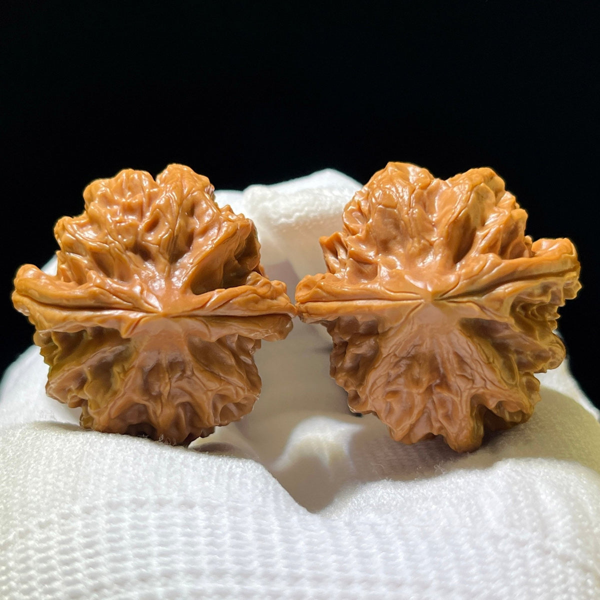 The "Master Cao's Dragon" (Cao Da Long) Deep-Belly Compact Pair | 35.0mm x 36.0mm | CDL-1102 - ThePatinaProject