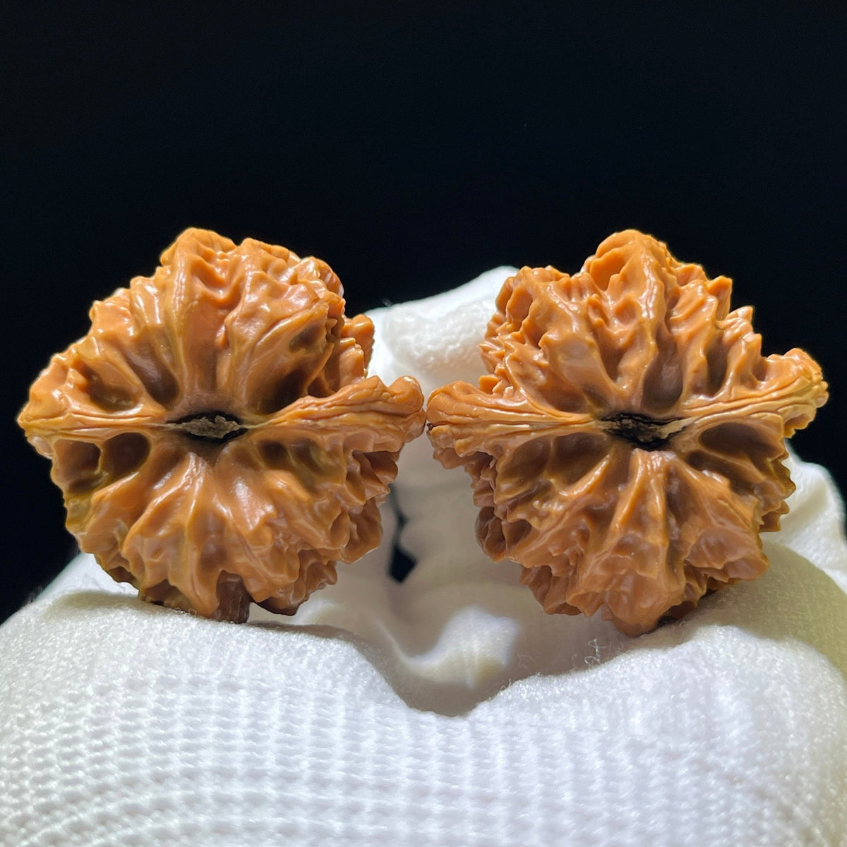 The "Master Cao's Dragon" (Cao Da Long) Deep-Belly Compact Pair | 35.0mm x 36.0mm | CDL-1102 - ThePatinaProject