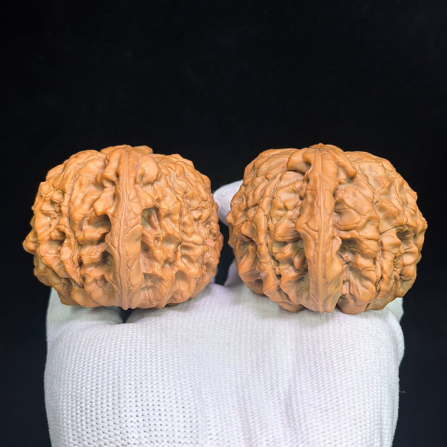The Masterpieces — 59.0mm x 54.0mm Longding (Dragon Crown) Scholar Walnut Pair | 2026 Harvest | LD-CWA2E - ThePatinaProject