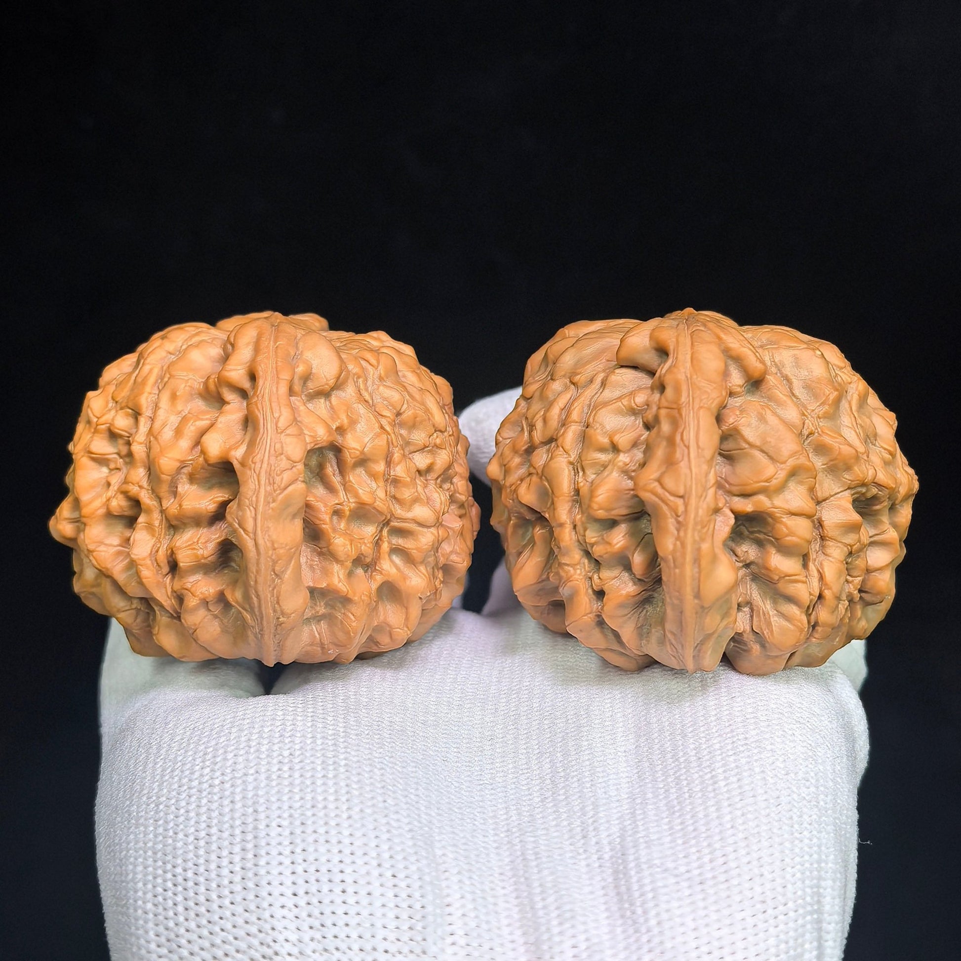 The Masterpieces — 59.0mm x 54.0mm Longding (Dragon Crown) Scholar Walnut Pair | 2026 Harvest | LD-CWA2E - ThePatinaProject