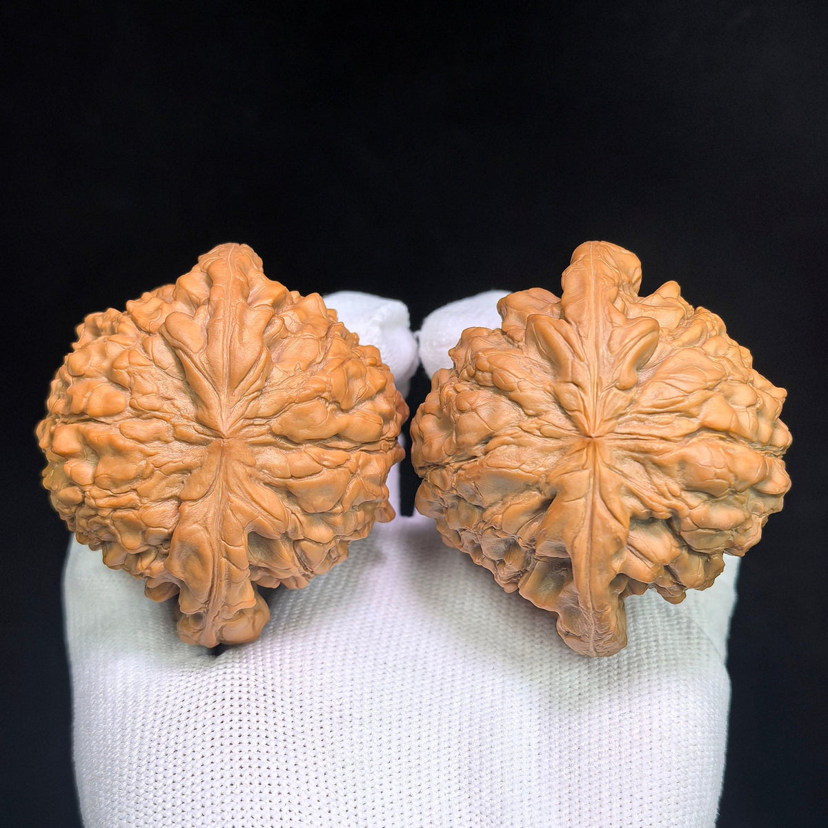 The Masterpieces — 59.0mm x 54.0mm Longding (Dragon Crown) Scholar Walnut Pair | 2026 Harvest | LD-CWA2E - ThePatinaProject