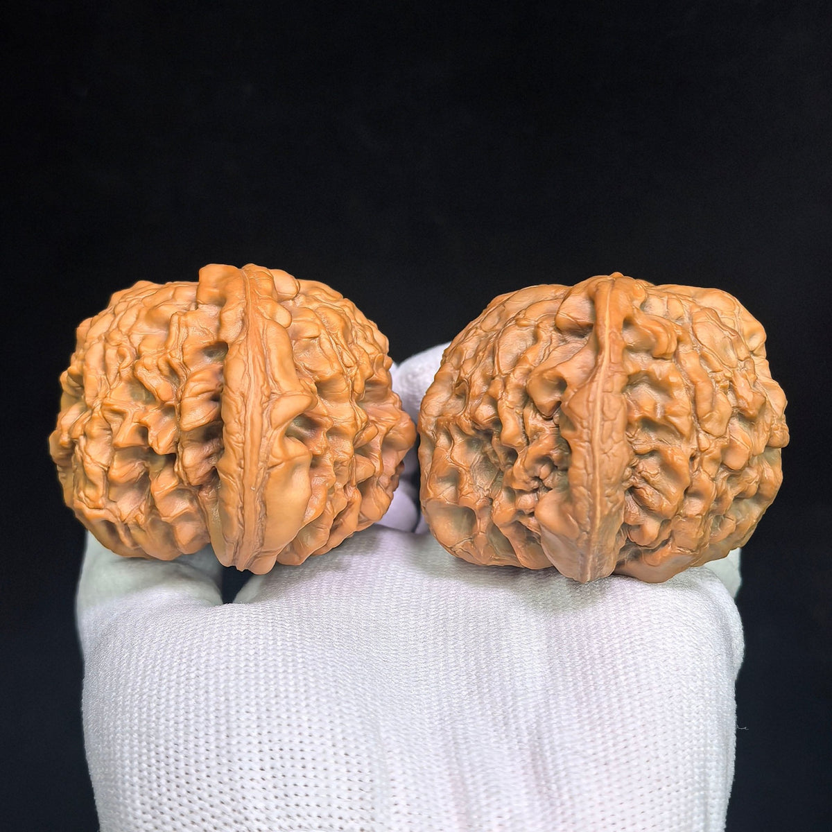 The Masterpieces — 59.0mm x 54.0mm Longding (Dragon Crown) Scholar Walnut Pair | 2026 Harvest | LD-CWA2E - ThePatinaProject