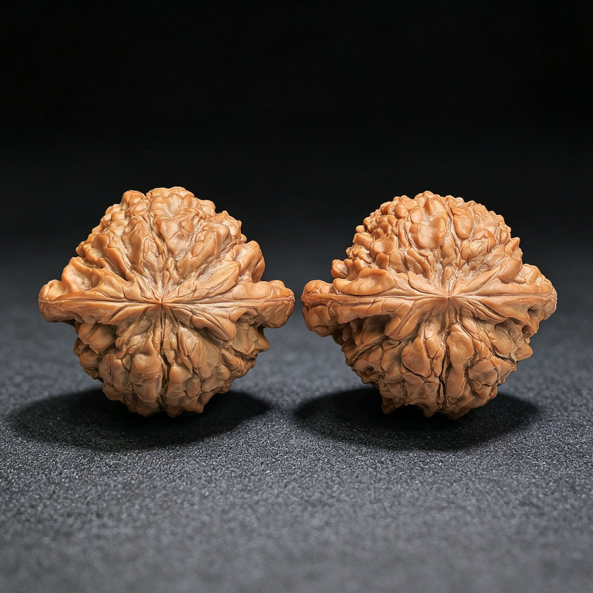 The Masterpieces — 59.0mm x 54.0mm Longding (Dragon Crown) Scholar Walnut Pair | 2026 Harvest | LD-CWA2E - ThePatinaProject
