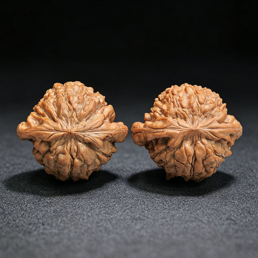 The Masterpieces — 59.0mm x 54.0mm Longding (Dragon Crown) Scholar Walnut Pair | 2026 Harvest | LD-CWA2E - ThePatinaProject