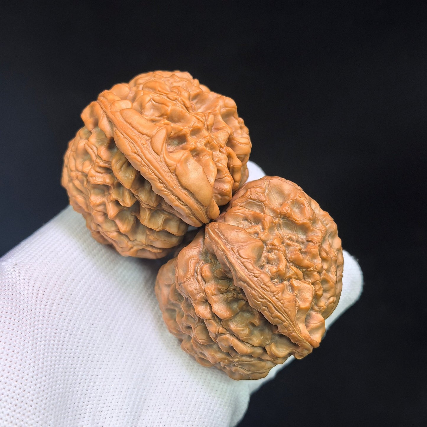 The Masterpieces — 59.0mm x 54.0mm Longding (Dragon Crown) Scholar Walnut Pair | 2026 Harvest | LD-CWA2E - ThePatinaProject