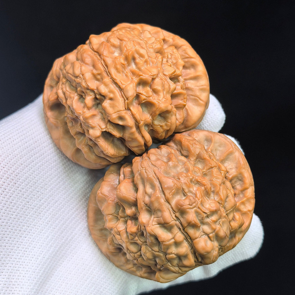 The Masterpieces — 59.0mm x 54.0mm Longding (Dragon Crown) Scholar Walnut Pair | 2026 Harvest | LD-CWA2E - ThePatinaProject