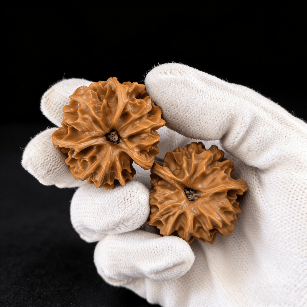 The "Mercedes" Pair – Natural 3-Ridge (San Leng) Walnuts | SL-30 (Rare Find) - ThePatinaProject