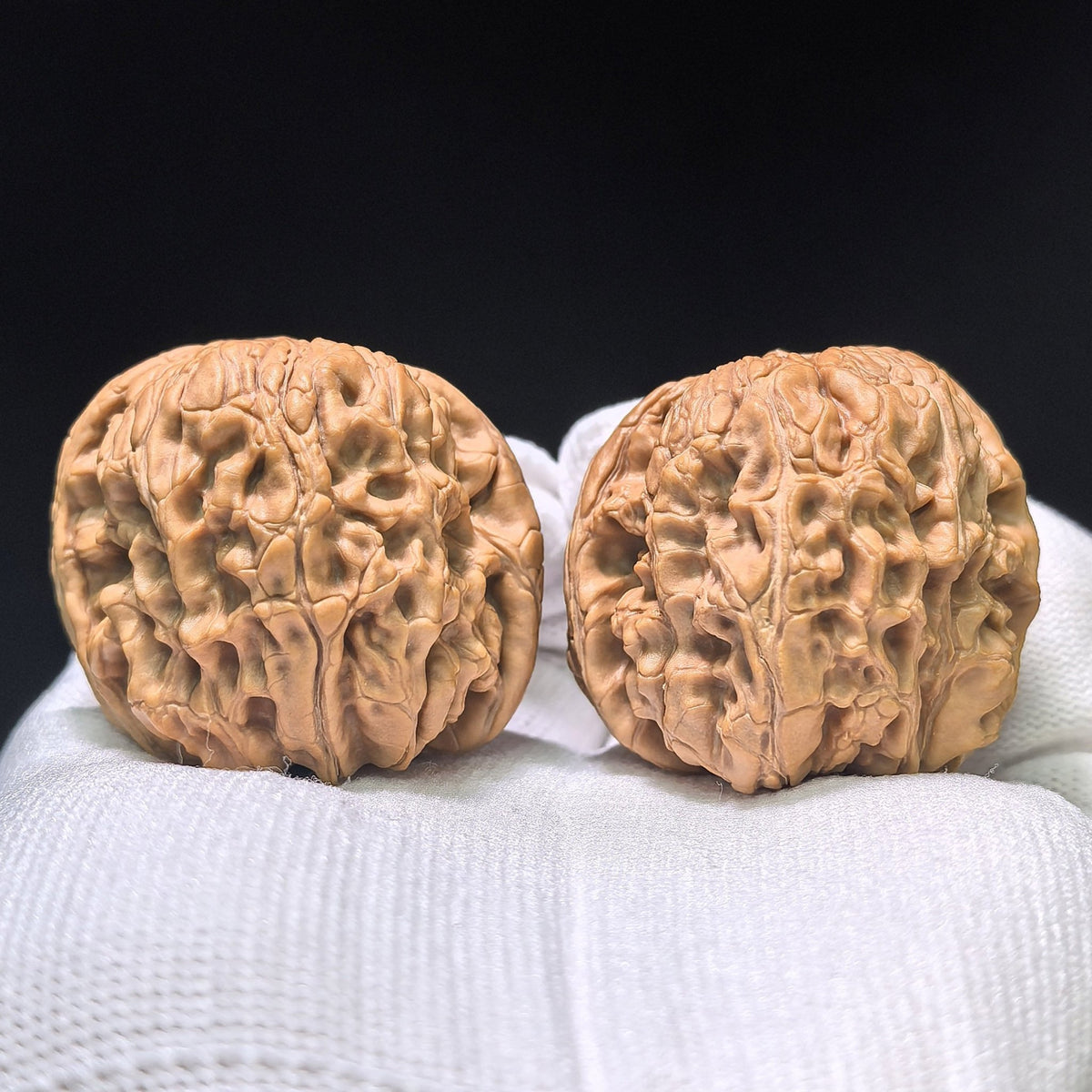 The Mighty "Door Pier Sitting Mountain Eagle" Mendun Zuoshandiao Masterpiece | 40.0mm x 42.0mm | MDZSD-402E - ThePatinaProject