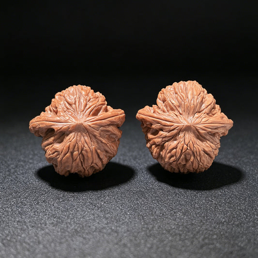 The "Millstone Flying Snake" (Mo Pan Fei She) Matched Pair | 37.0mm x 36.0mm | MOFS-1201E - ThePatinaProject