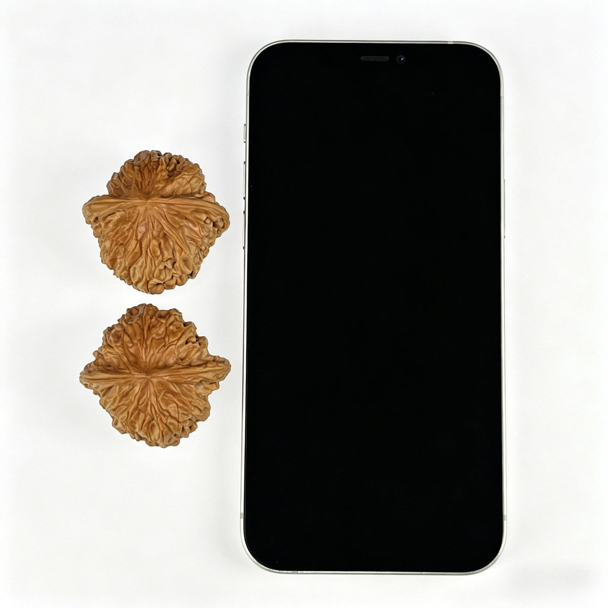 The "Millstone" (Mo Pan) Balanced Giant Pair | 40.0mm x 39.0mm | MP-805 - ThePatinaProject