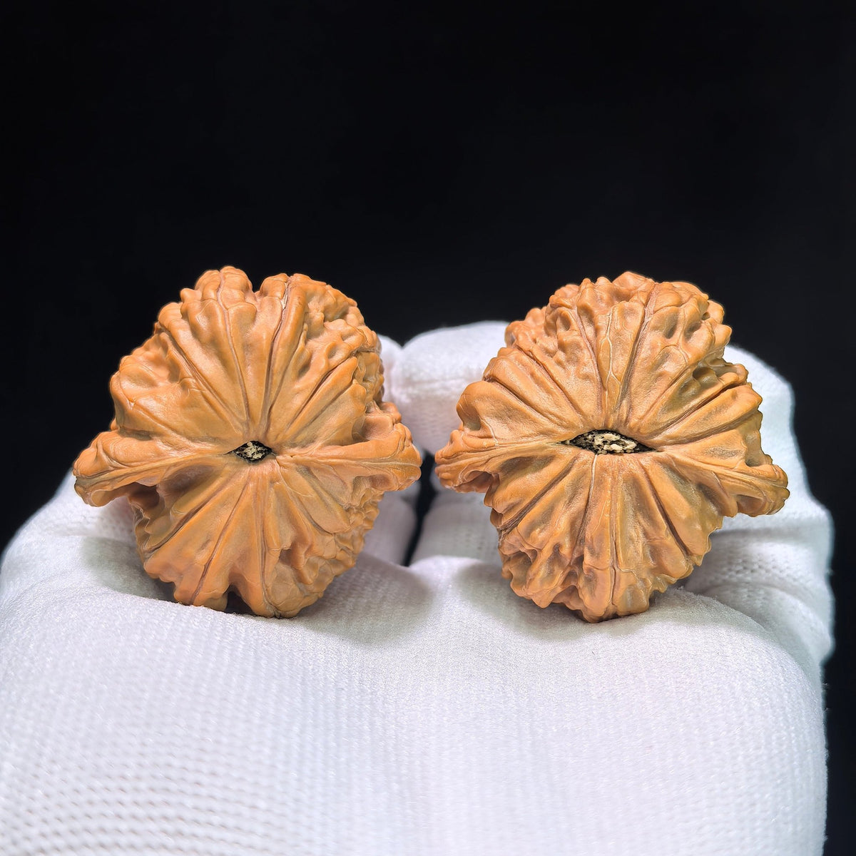The "Millstone" (Mo Pan) Pair | 39.0mm x 32.0mm | MP-402 - ThePatinaProject