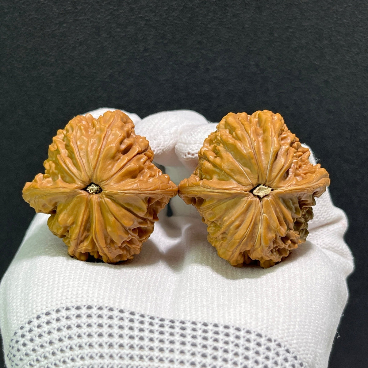 The "Millstone" Natural Mutation Base Pair | 39.0mm x 40.0mm | MP-512 - ThePatinaProject