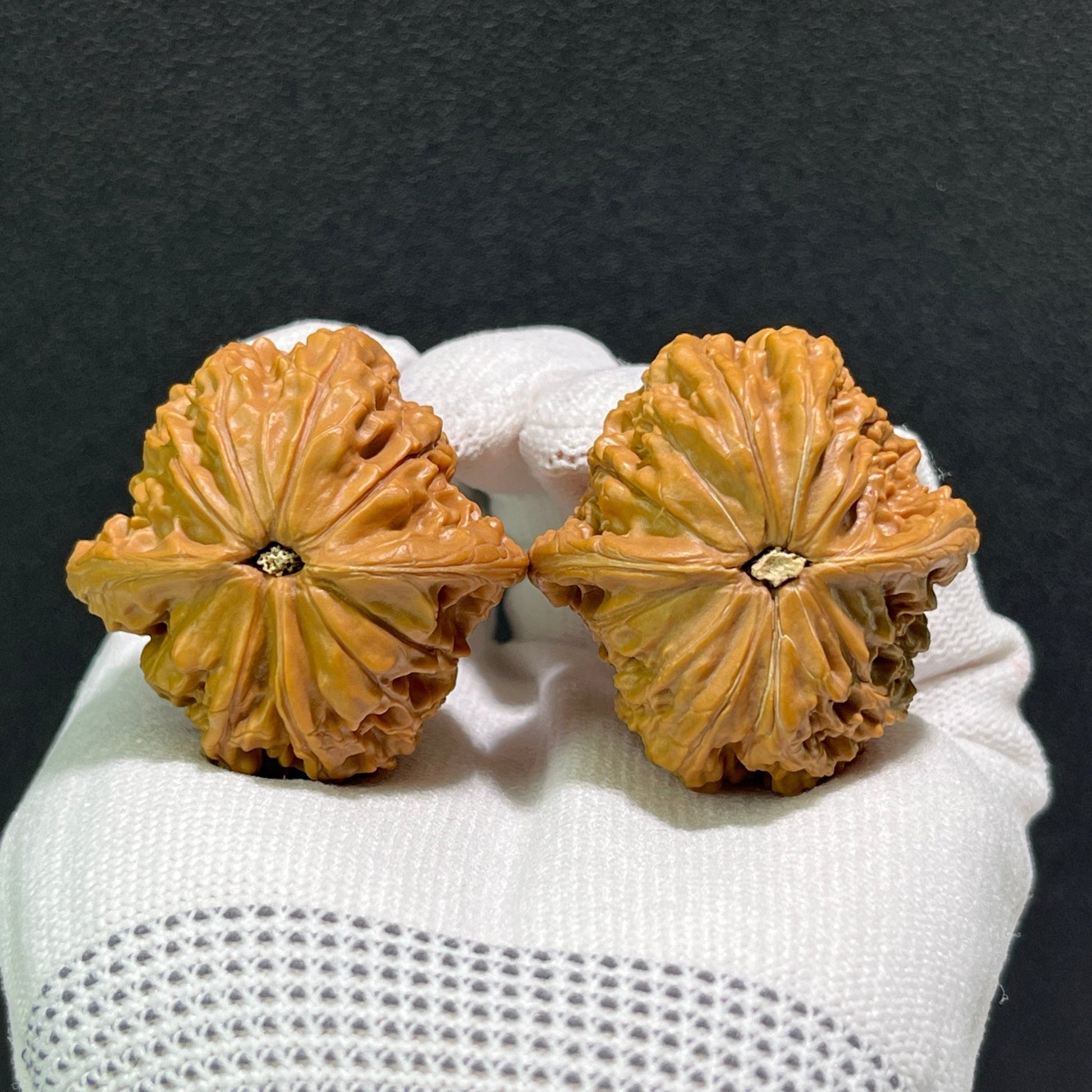 The "Millstone" Natural Mutation Base Pair | 39.0mm x 40.0mm | MP-512 - ThePatinaProject