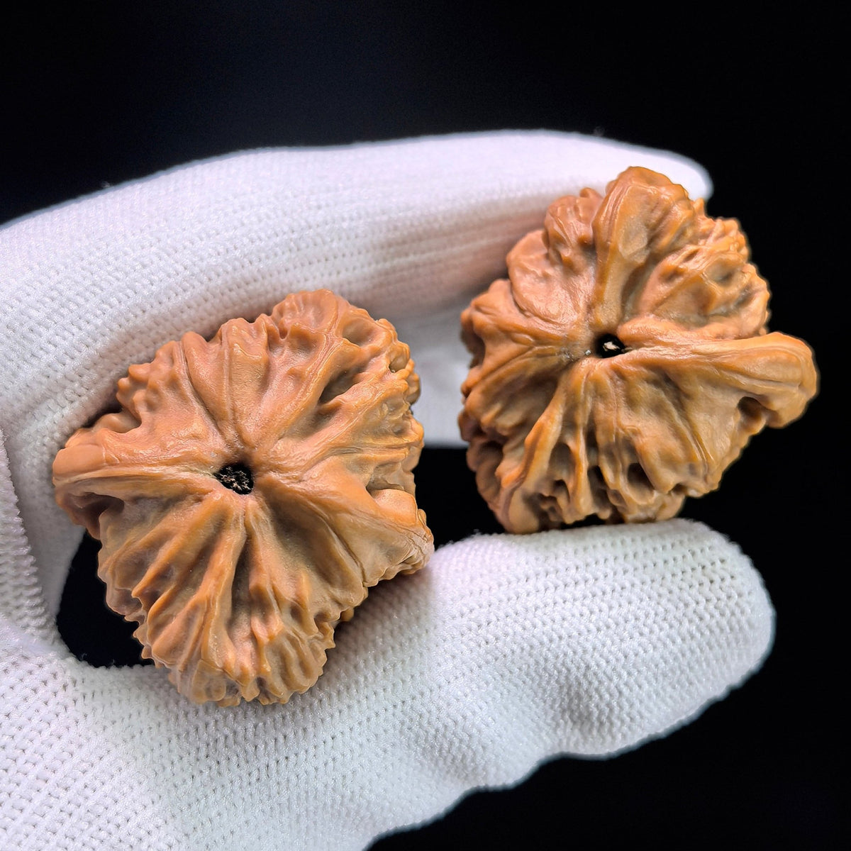 The Miniature "Sitting Buddha" Hongshizi Masterpiece | 30.0mm x 33.0mm | HSZZF-1401E - ThePatinaProject