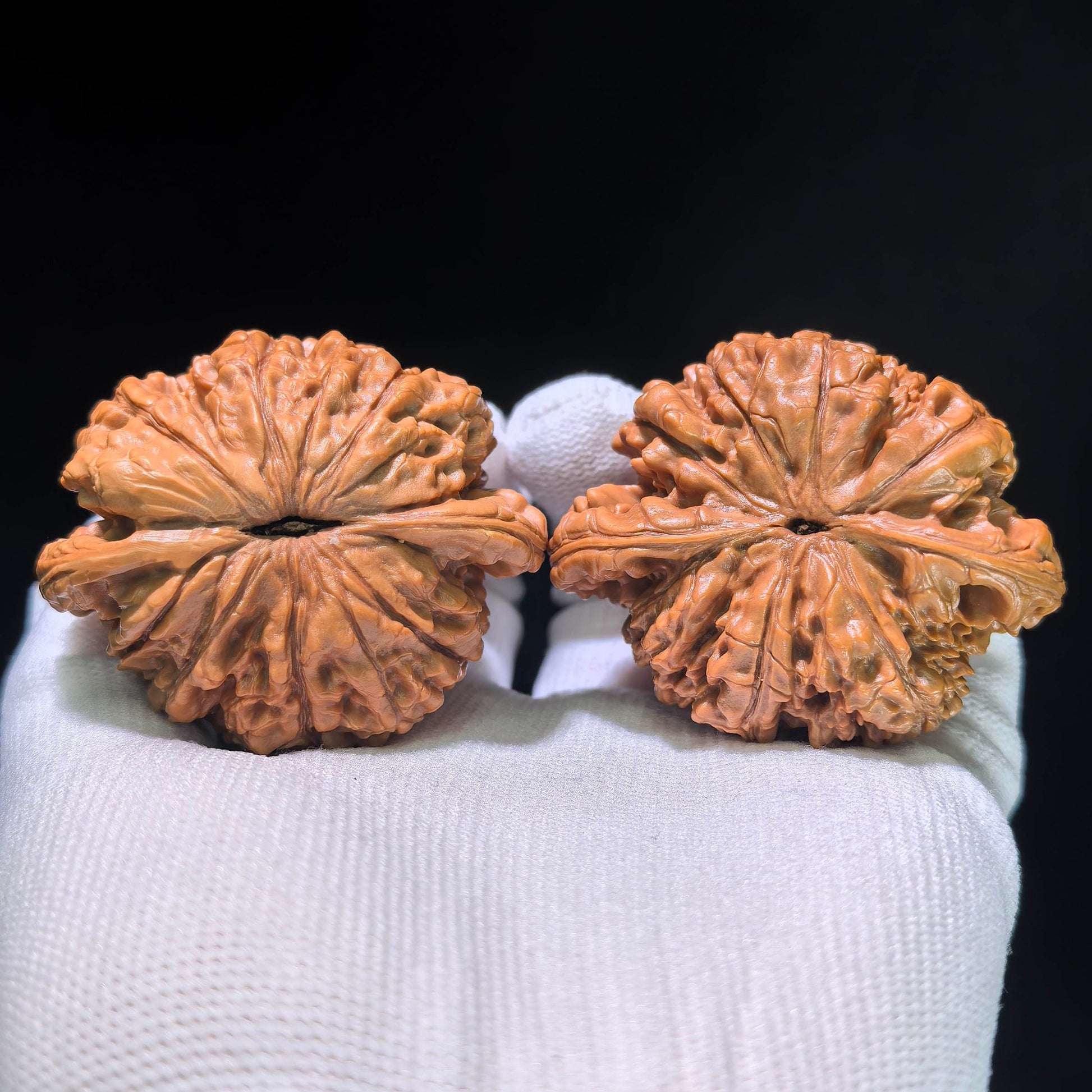 The Monumental "Imperial Hat" Aichun Guanmao Masterpiece | 51.0mm x 43.0mm | GM-1205C - ThePatinaProject
